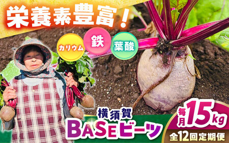 【全12回定期便】横須賀BASEビーツ 15kg（1kg×15袋）【ゆり子ファーム】[AKCR016]