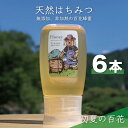 【ふるさと納税】合計1800g 天然蜂蜜 国産蜂蜜 非加熱 生はちみつ 岐阜県 美濃市産 初夏 (蜂蜜300g入りピタッとボトル6本セット) B17