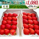 【ふるさと納税】先行受付 【 博多あまおう 】 いちご 約270g×4p / エイチアンドフューチャーズ / 福岡県 筑紫野市 [21760472] 果物 フルーツ いちご イチゴ 苺 朝採り 新鮮