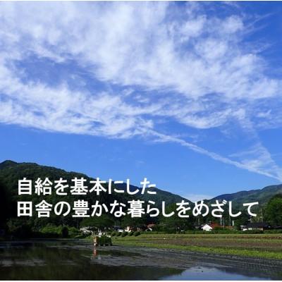 ふるさと納税 吉賀町 【栽培期間中化学肥料・化学農薬不使用】令和7年産R1米コシヒカリ10kg(精米) |  | 01