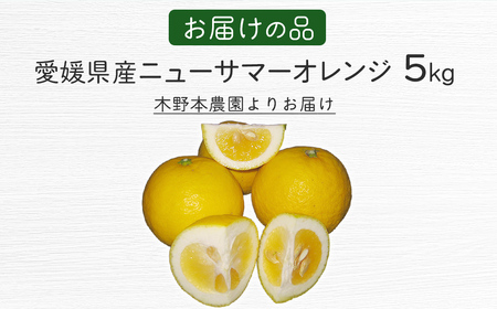 【栽培期間中農薬不使用】【先行受付】【数量限定】農園直送！愛媛県産ニューサマーオレンジ 5kg （2027年3月下旬頃より順次発送） IKTG009