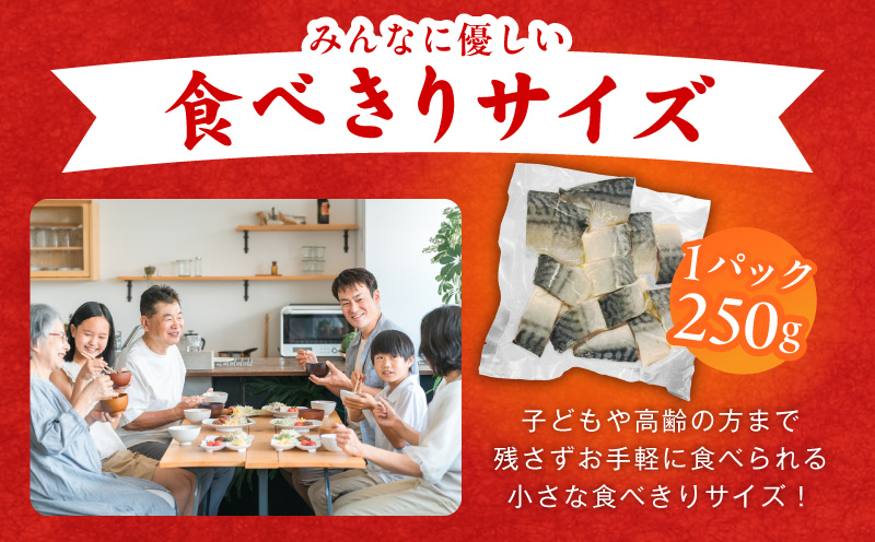 お手軽 訳アリ塩サバ500g【魚 青魚 塩さば 塩鯖 塩サバ 切身 塩焼き 焼きさば 焼き鯖 人気 冷凍 冷凍食品 おかず 弁当 惣菜】 099H4469