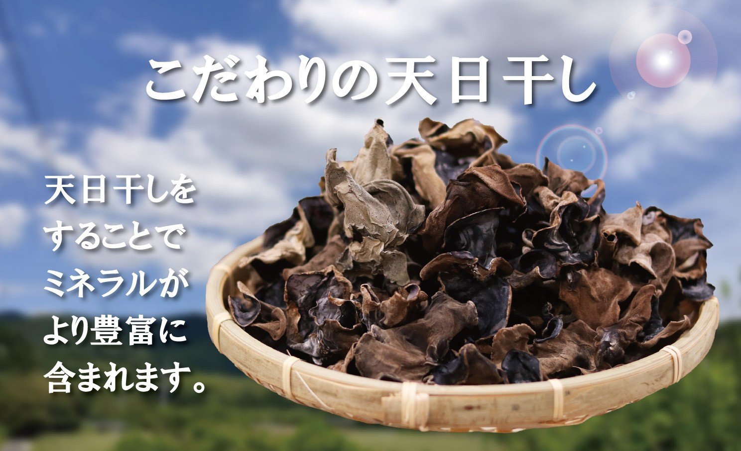 鹿児島県産天日干し乾燥きくらげ