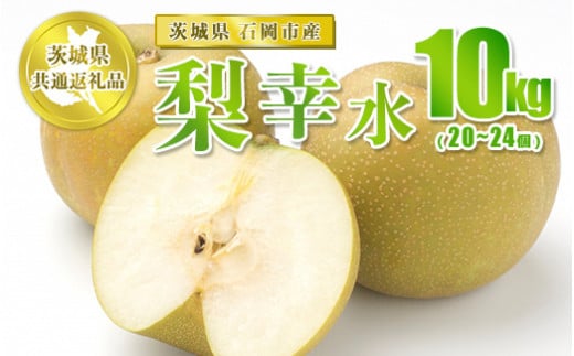 幸水 10kg 20～24個【茨城県共通返礼品 石岡市】※2024年8月上旬～8月下旬頃に順次発送予定