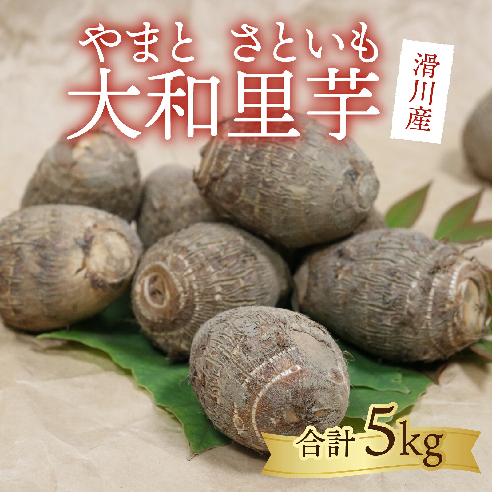 【ふるさと納税】【先行予約】さといも 大和里芋（やまと）5kg【2025年11月上旬より順次発送予定】 | 野菜 芋 イモ 根菜 いも 煮物 旬 味覚 秋