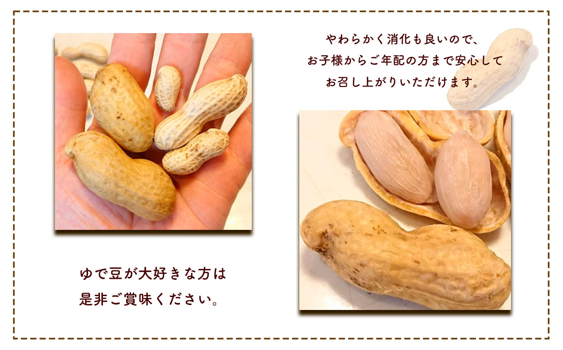 冷凍ゆで豆・おおまさり　500g×2袋