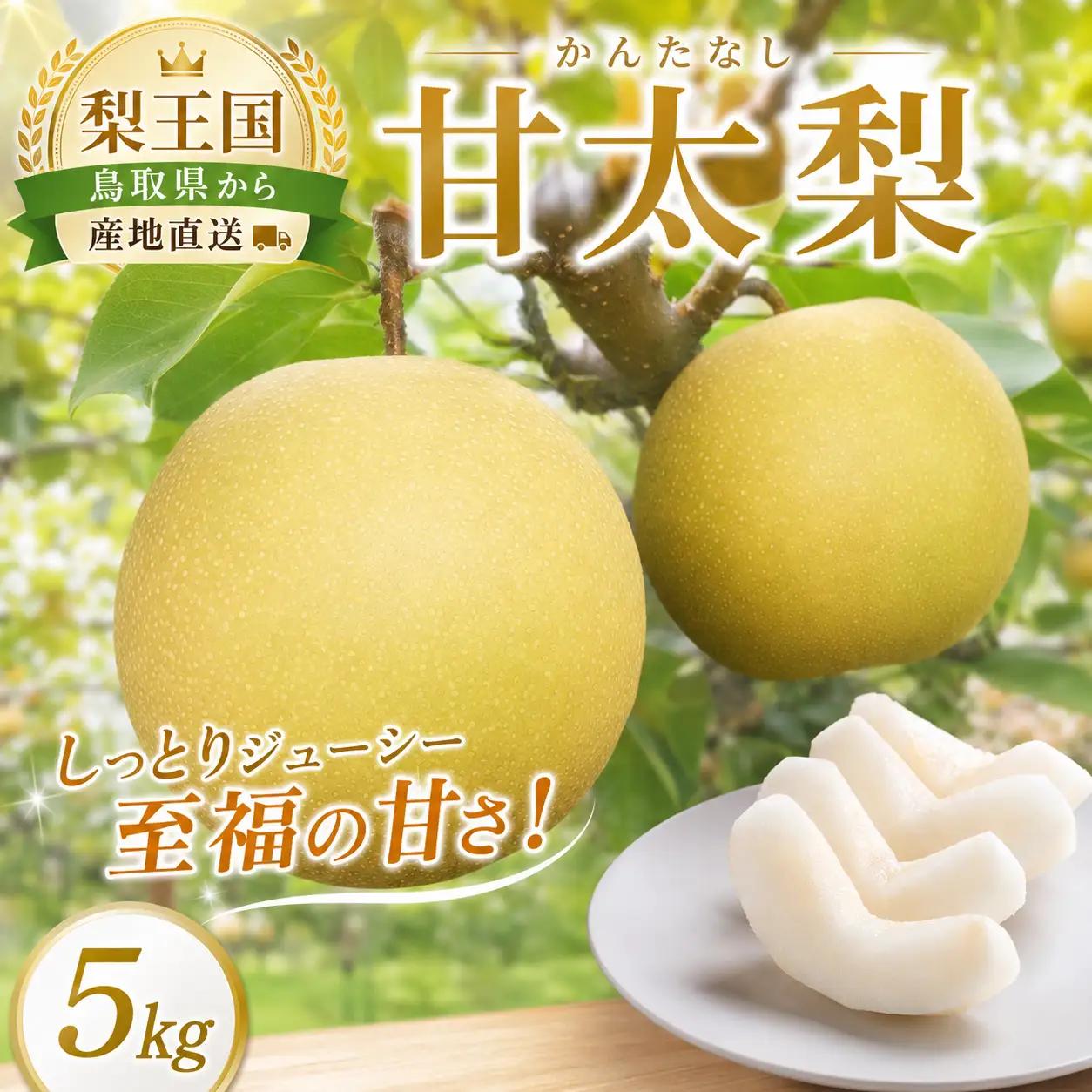 Y1049 八頭町産　梨「甘太梨」5kg【梨 なし ナシ 果物 フルーツ ギフト 先行予約 甘い 果実 果汁 デザート もぎたて 旬 新甘泉好きな方におすすめ】