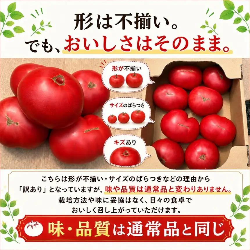 【訳あり】【R8年12月順次発送】大玉トマトりんか 1kg | 岐阜県 北方町