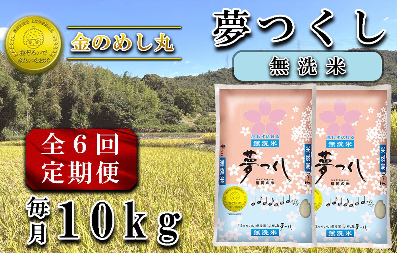 
            CE-095_【定期便６回】令和７年米〈無洗米〉金のめし丸夢つくし　１０kg（５kg×２袋）を６回お届け（計６０ｋｇ）
          