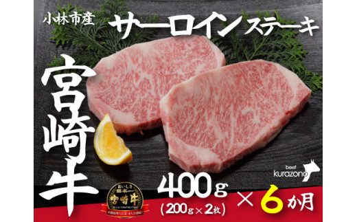 
【定期便・全6回】小林市産宮崎牛特選サーロインステーキ（200ｇ×２枚×6ヶ月）（国産 牛肉 国産牛 和牛 黒毛和牛 赤身 サーロイン ステーキ 焼肉）
