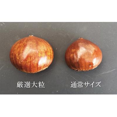 ふるさと納税 碧南市 この道50年の職人が焼く「厳選大粒」天津甘栗 560g! H045-089 |  | 01