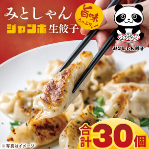 旨味たっぷり！本場プロの中華料理人が作る みとしゃんジャンボ餃子 30個（CS-5）