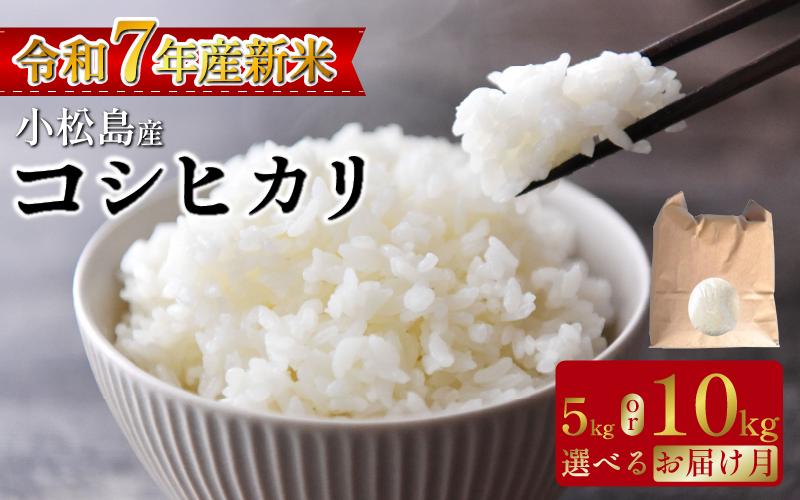 
            【令和7年産新米】米 コシヒカリ5kg 2025年10月から順次発送   米 白米 精米 こめ お米 産地直送 選べるお届け月 おすすめ 人気 備蓄 ご飯 ごはん 小松島 コシヒカリ
          
