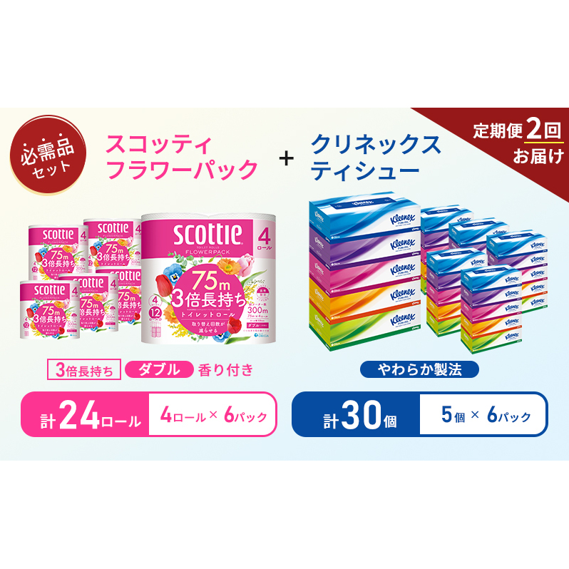 【 6ヶ月ごと計 2回お届け 】ティッシュ クリネックス 5箱入 × 6パック トイレットペーパー ダブル スコッティ 3倍長持ち 4ロール × 6パック フラワーパック 香り付き