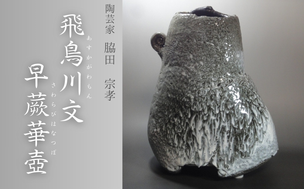 
            【陶芸家・脇田宗孝】飛鳥川文　早蕨華壺（あすかがわもん　さわらびはなつぼ）
          