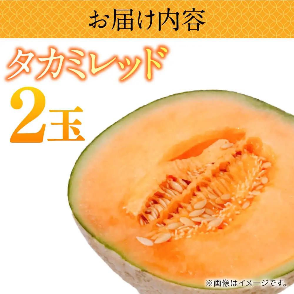 【2027年5月-発送】タカミメロン レッド 2玉 / メロン めろん フルーツ 果物 / 南島原市 / 南島原果物屋[SCV030]