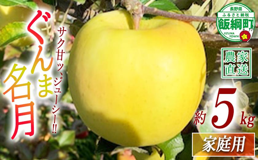 
                  りんご ぐんま名月 家庭用 5kg ファームトヤ 沖縄県への配送不可 2026年11月中旬頃から2026年12月下旬頃まで順次発送予定 令和8年度収穫分 信州 果物 フルーツ リンゴ 林檎 名月 長野 予約 農家直送 長野県 飯綱町 [1424]
                