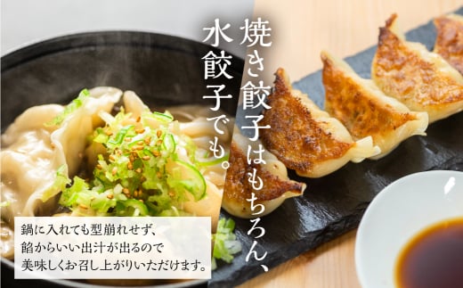 訳あり 無添加 手造り 餃子 50個入 絶品 こだわり タレ付き 国産 鍋  簡易包装 小分け お手軽 簡単調理 ニンニク にんにく  12000円