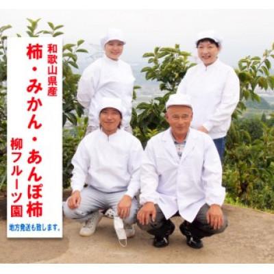 ふるさと納税 橋本市 【先行受付】柳フルーツ園の訳ありたねなし柿7.5kg |  | 02