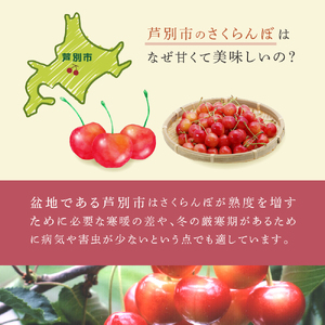 【 先行受付 】さくらんぼ 南陽1kg（500g×2パック）高級 サクランボ 北海道 芦別産 赤 3L 果物類 フルーツ チェリー 