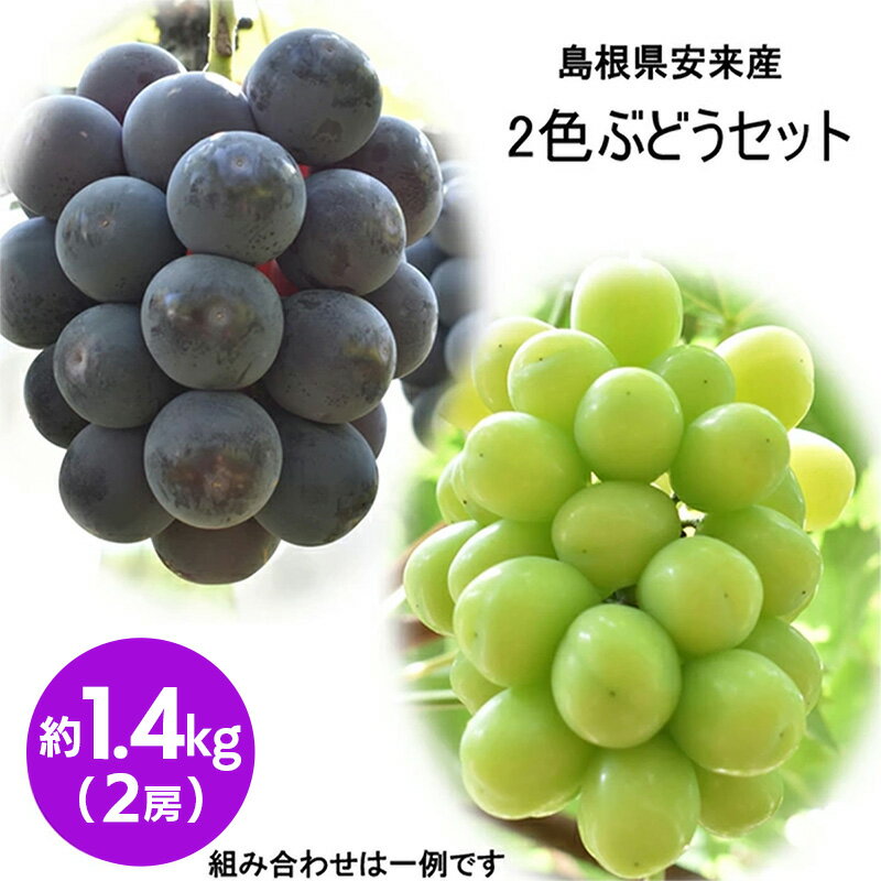 【ふるさと納税】2色詰め安来ぶどう詰合せ 約1.4kg ／ 8月中旬～9月下旬発送 ／ 2房 シャインマスカット ピオーネ クイーンニーナ 2種 おまかせ 旬 ランダム 詰め合わせ 先行 予約 冷蔵配送 フルーツ 島根県 安来市【19-JY-11】