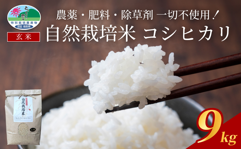【先行予約】岩美町産自然栽培米こしひかり（玄米）３kg×３袋｜鳥取 岩美 令和8年産 お米 こめ 玄米【31008】