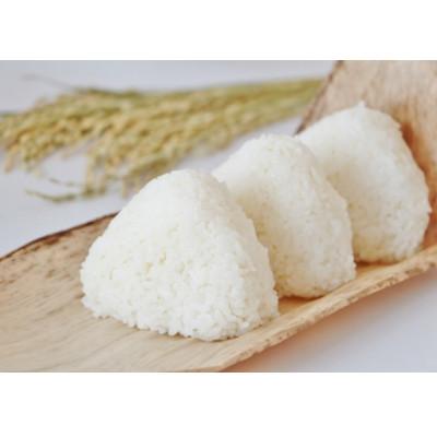 ふるさと納税 能美市 【令和7年産】石川県産ひゃくまん穀白米5kg×1袋 |  | 03