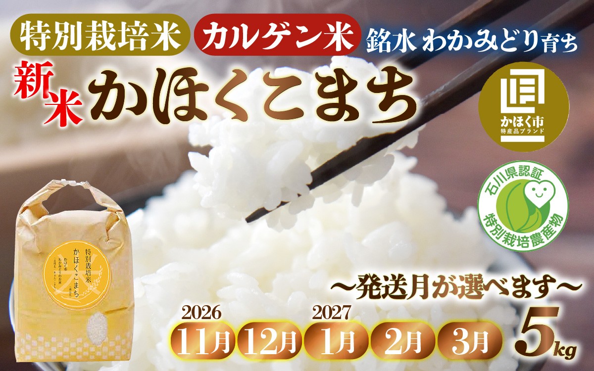 
                  【選べる発送月】【11月～3月発送】若緑産 「かほくこまち」 5kg  特別栽培米 / 令和8年産 新米 白米 精米 こめ コメ ご飯 ごはん おすすめ 食感 国産 5キロ 送料無料
                