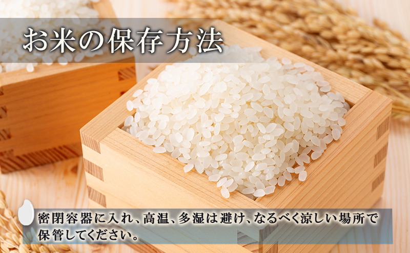 令和7年度産　新潟県上越市産　コシヒカリ5kg 米  こしひか