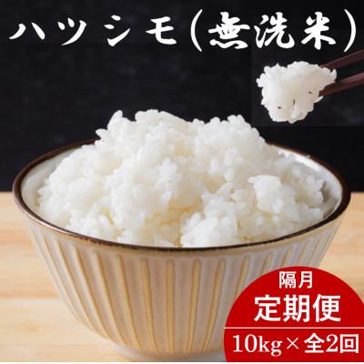 ふるさと納税 羽島市 【2ヵ月毎定期便】岐阜県産ハツシモ(無洗米) 10kg全2回