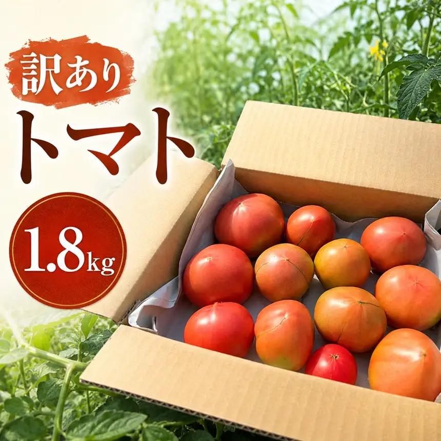 訳あり トマト 七久里農園 ＜2026年6月～11月中旬発送＞