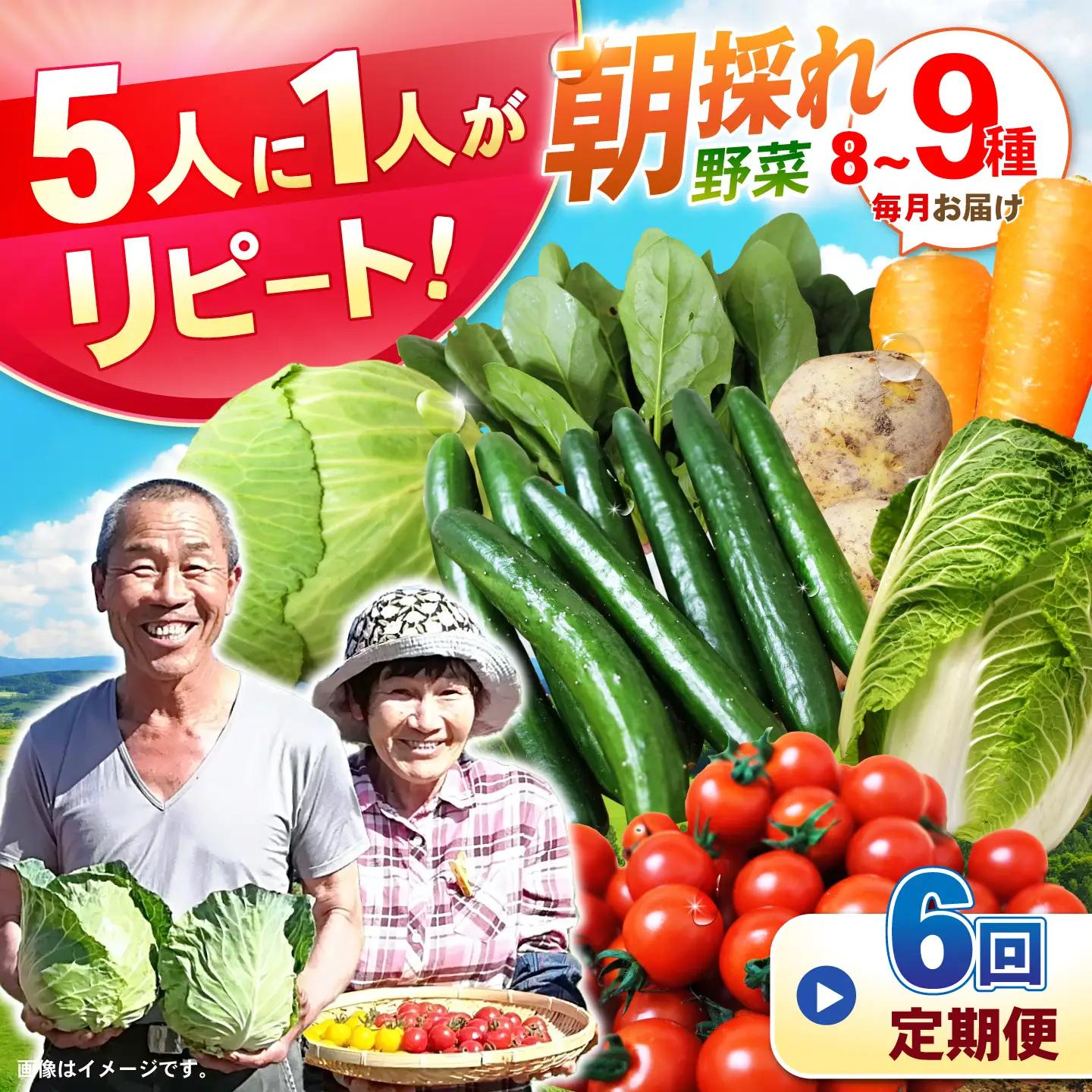 野菜 6回定期便 諫早産野菜の詰め合わせ8・9品目程度[AHDI002]