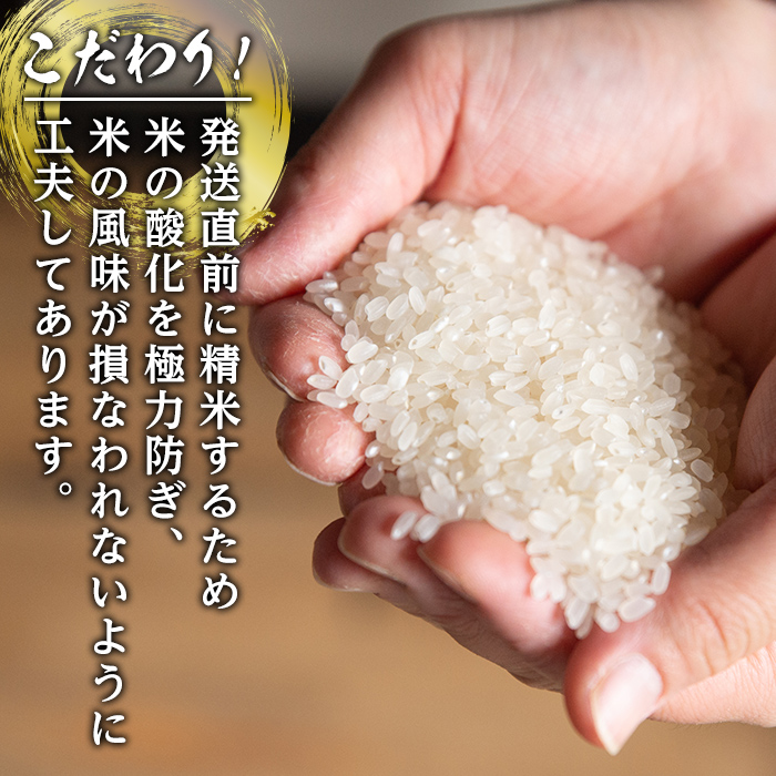 i862-A-k 【敬老の日ギフト】鹿児島県出水市産あきほなみ白米＜3kg×2袋・計6kg＞ 米 白米 アキホナミ 自家脱穀 自家精米 発送直前 精米 ごはん お米マイスター 厳選 ギフト プレゼント