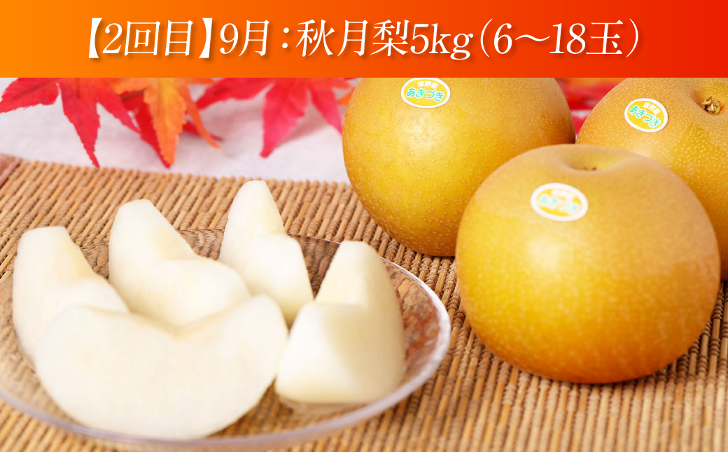 【先行予約】 【定期便3回】 熊本県産 3種の梨の定期便 約5kg ×3回 (計15kg) 【2025年8月下旬より順次発送】