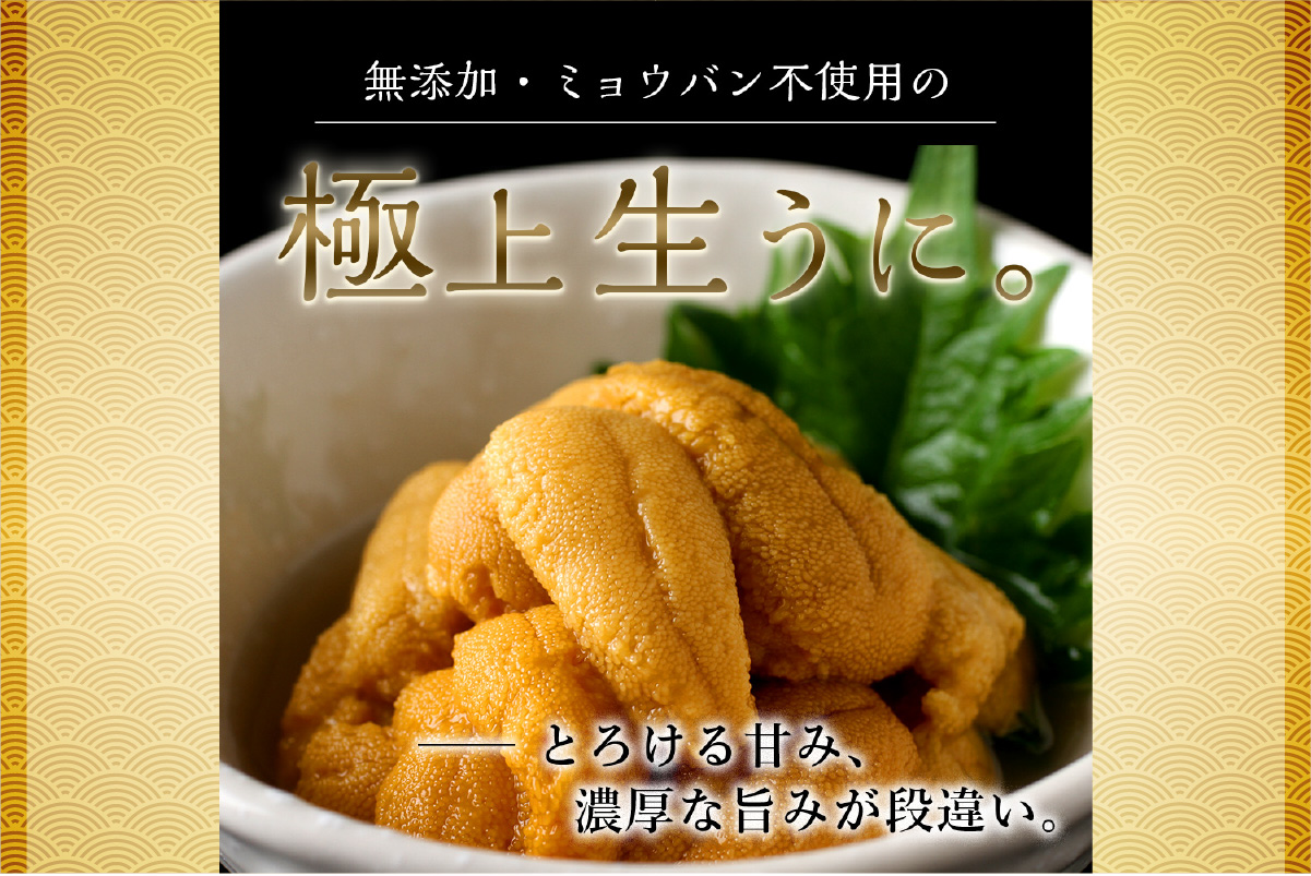 【先行予約】《北海道産》ムラサキウニ 塩水 100g ×8パック＜札幌カネシン水産＞ | ウニ丼 無添加 北海道 札幌市