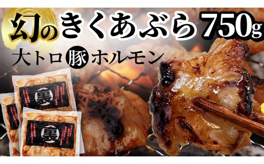 国産豚 大トロホルモン キクアブラ 750g (150g×5) 希少部位 ホルモン 豚 希少 きくあぶら 菊脂 豚ホルモン 豚肉 国産豚 大トロ おつまみ もつ鍋 ホルモン焼き 小分け 冷凍 便利 簡単調理 時短 スタミナ おかず BBQ バーベキュー キャンプ 焼肉 網焼き 国産 みそ にんにく 味付き 味付け肉 (DV067）