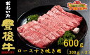 【ふるさと納税】 全農おおいた 豊後牛 ロース すき焼き用 600g(300g×2パック) 和牛 黒毛和牛 豊後牛 牛肉 ロース すき焼き用 大分 霜降り ストレスフリー 柔らかい 風味 血統 肉 牛 すき焼き すきやき 全国農業協同組合連合会 産地直送 大分県本部 食材 料理