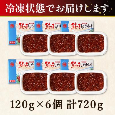 ふるさと納税 鹿部町 丸鮮道場水産 鮭っ子しょうゆ味 120g×6個(計720g) MC162-3 |  | 03