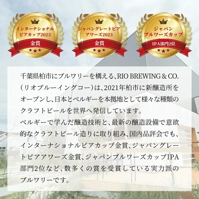 ビール 飲み比べ 6本 セット ビール