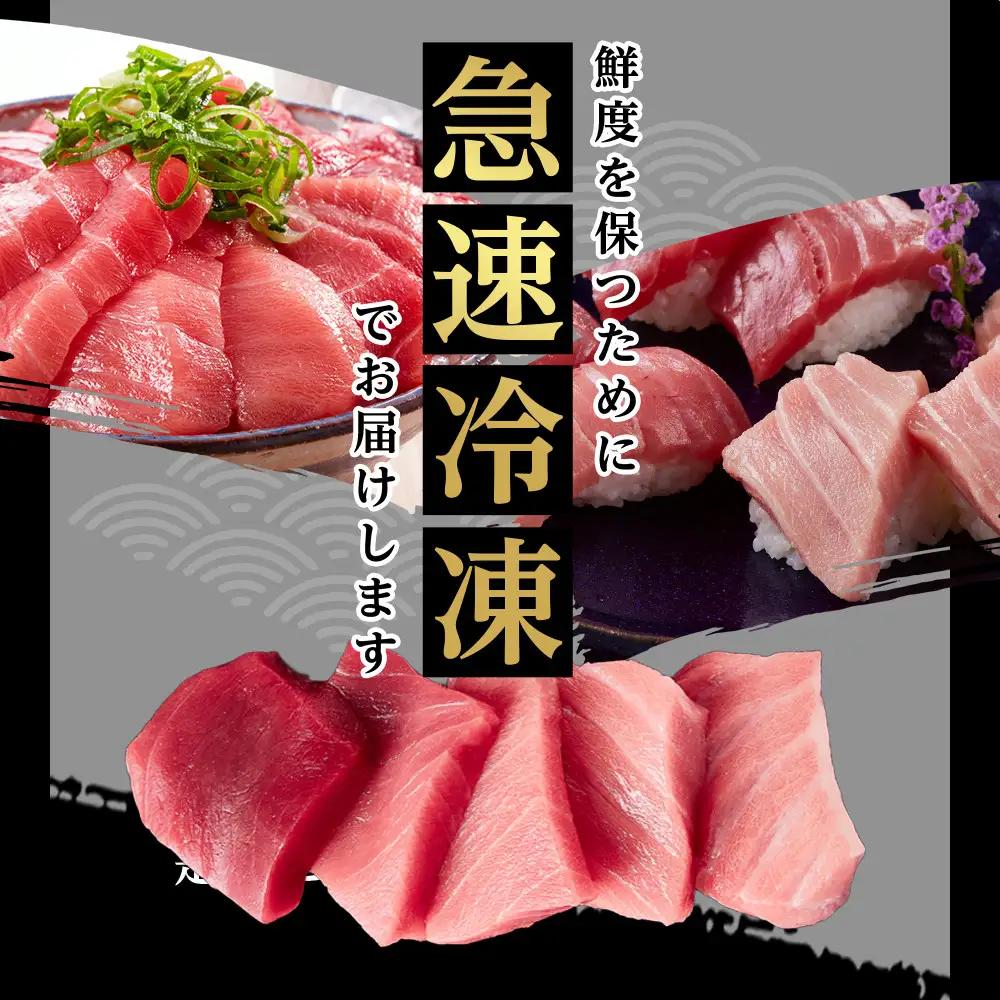 本マグロ トロ+赤身セット 500g | 大トロ 中トロ 鮪 刺身 寿司