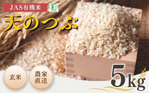 【先行予約】【天のつぶ】玄米 5kg JAS有機米 令和8年産 | JAS 有機米 お米 米 コメ ブランド米 低温貯蔵庫 福島県産 根本有機農園 オーガニック米 福島県産天のつぶ 福島天のつぶ