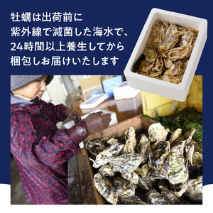 仮屋湾の真牡蠣 3kg【殻付き】（12月配送）【D005-12】