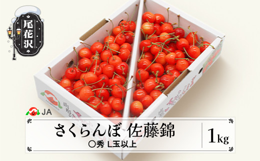 
            先行予約 さくらんぼ 佐藤錦 1kg バラ ◯秀 L玉以上 令和7年産 2025年産 山形県産 果物 フルーツ サクランボ ja-snbax1
          