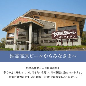 世界五大ビール審査会でトリプル受賞！妙高高原クラフトビール３種ギフトセット(500ml×12本) 定番 晩酌 地ビール 天然水 家飲み 詰め合わせ 贈り物 ギフト セット 飲み比べ お取り寄せ 酒 苦