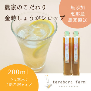 こだわり金時しょうがシロップ 200ml×2本 ギフトセット / しょうが 生姜 ジンジャー 生姜シロップ ジンジャーシロップ ジンジャーシロップ ジンジャーシロップ ジンジャーシロップ / 恵那市 / てらぼら農園 [AUDZ001]