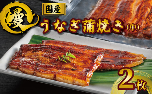 国産うなぎ蒲焼き タレ・山椒付き 中 2枚 約100g×2 うなぎ 鰻 蒲焼 定期便 うな重 鰻丼 うな丼 ひつまぶし 土用の丑の日 土用丑 魚 海鮮 魚介類 肉 冷凍 真空パック 個包装 小分け おつまみ おかず 惣菜 ビール 酒 焼酎 日本酒 ウイスキー チューハイ お取り寄せ ギフト プレゼント 贈答 贈答用 贈り物  お中元 お歳暮 母の日 父の日 敬老の日 千葉県 銚子市 石毛川魚店
