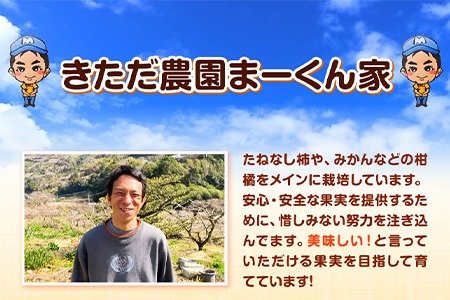 まーくん家のみかん 5kg 《11月中旬-12月中旬頃出荷》 和歌山県 紀の川市 柑橘 きただ農園まーくん家 化学肥料・除草剤不使用