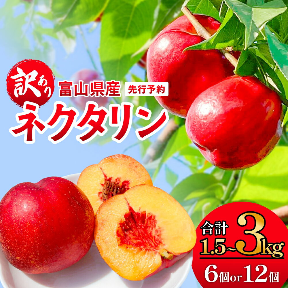 【ふるさと納税】【先行予約】【訳あり】 富山県産 ネクタリン 6個 または 12個 ＜2026年8月中旬以降順次発送＞ 果物 フルーツ 富山県 氷見市