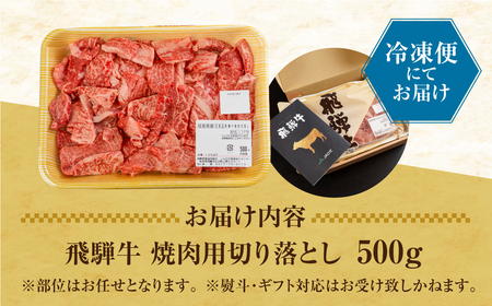 訳あり 飛騨牛 焼肉用 500g 切り落とし 牛肉 肉 バーベキュー セット 和牛 焼き肉 訳アリ 部位おまかせ ウデ バラ モモ肉 14000円 [S811] 牛肉 肉 訳あり 牛肉 肉 訳あり 牛