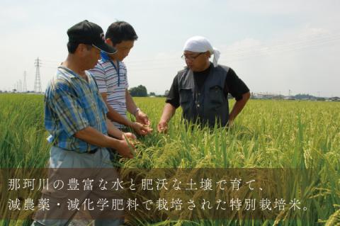 【6ヶ月定期便】【令和7年産】特別栽培米コシヒカリ「風彩常澄」計30kg（5kg×6回） 【最高 ランク 特A コシヒカリ 水戸市 オリジナル ブランド 農林水産省大臣賞受賞 減農薬 減化学肥料 栽培